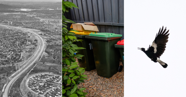 QUIZ: How much will an extra green bin cost you? Plus 9 other questions